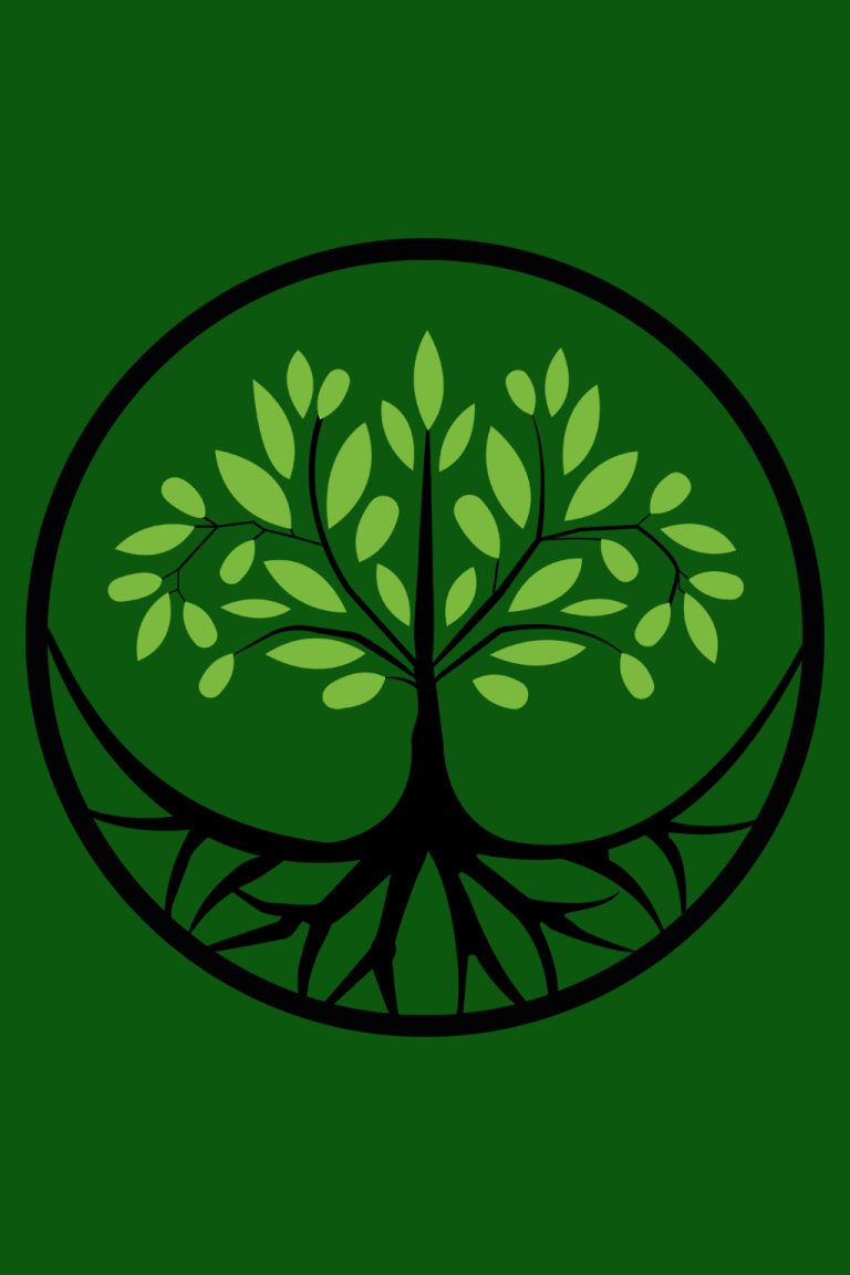 997 - Création de la Caste de la Terre